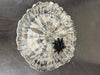 Spider Plate