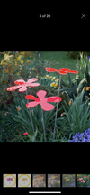 Suncatcher- Lotta - Large Flower Shape
