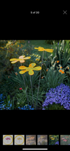 Suncatcher- Lotta - Large Flower Shape