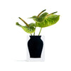 Henry Bud Vase