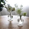 Glass Ella 7" Bud Vase