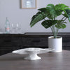 Nube Oval Pedestal