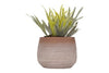 WHITE WASHED TERRA COTTA PLANTER